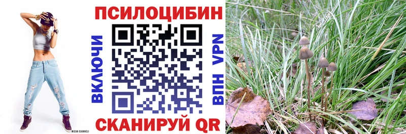 как найти закладки  blacksprut ссылки  Псилоцибиновые грибы MAGIC MUSHROOMS  darknet состав  Усть-Лабинск 
