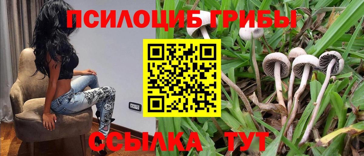 Галлюциногенные грибы мухоморы  Вход с VPN  Усть-Лабинск 