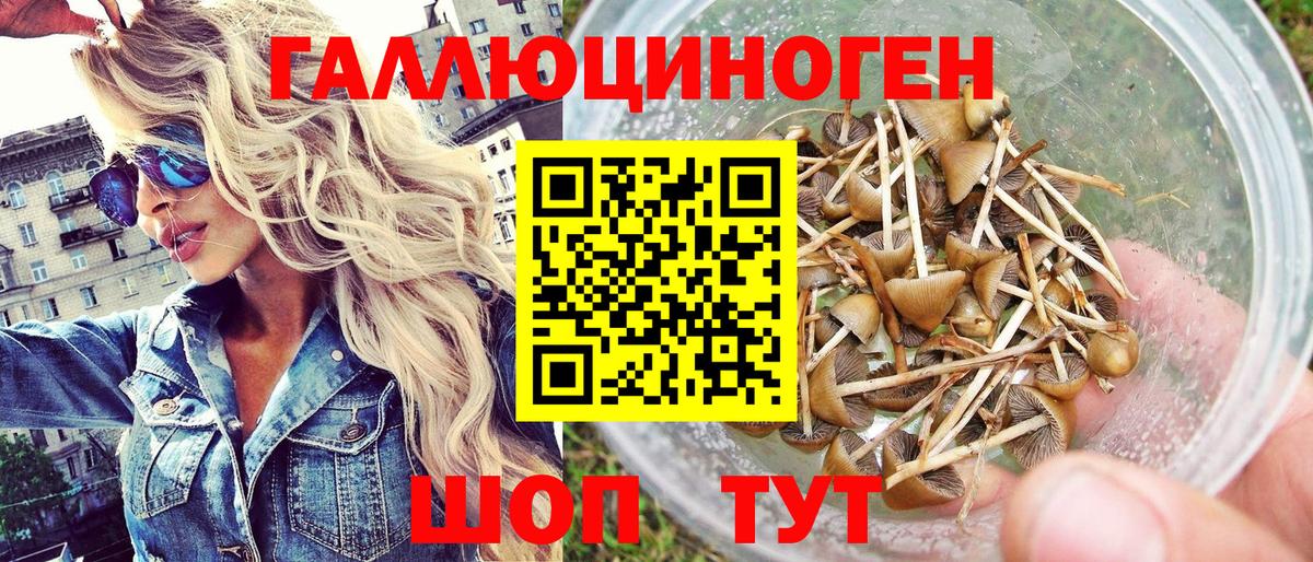 Псилоцибиновые грибы прущие грибы Усть-Лабинск